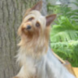 Meet your Posher, Lady